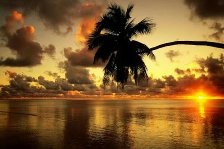 SILHOUETTE OF PALM TREES AGAINST SKY DURING SUNSET