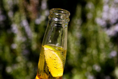 Close-up of yellow glass bottle