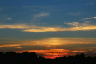 Silhouette of trees at sunset