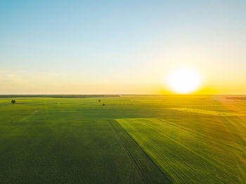 Scenic view of field against sky during sunset