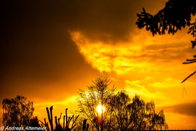 Low angle view of silhouette trees against romantic sky