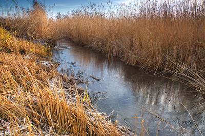 Scenic view of lake