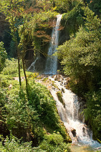 Scenic view of waterfall in forest