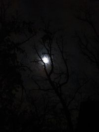 Low angle view of silhouette bare trees against sky at night