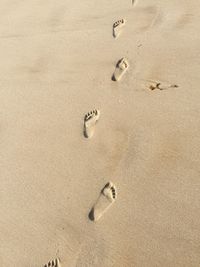 Footprints on sandy beach