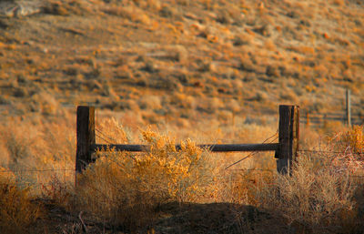 Wooden fence on field