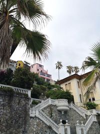 Low angle view of palm trees in town against sky