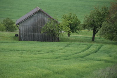 Scenic view of agricultural field