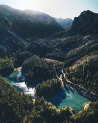 Aerial view of river amidst trees and mountains