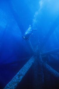 Scuba diver on the oil platform grace, near santa barbara, ca