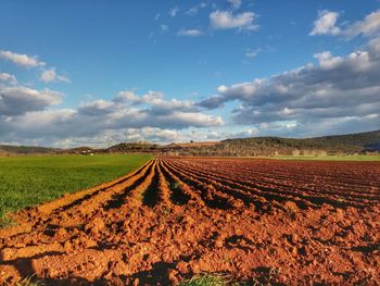 Scenic view of rural landscape