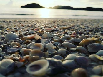 Stones on beach