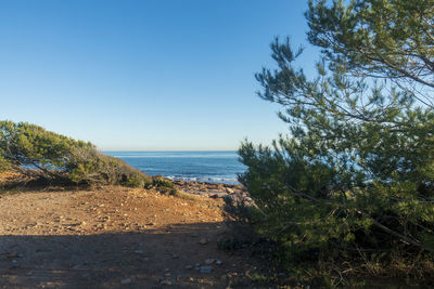 Scenic view of sea against clear blue sky