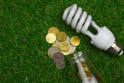 High angle view of coins and bulb on grass