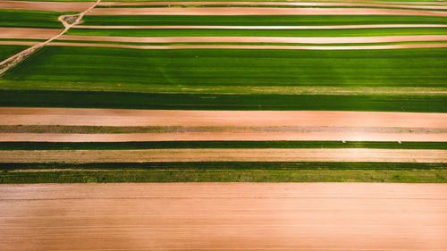 Full frame shot of agricultural field