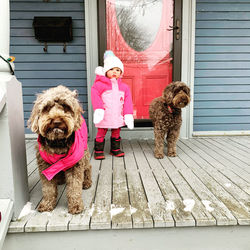 Toddler with dogs on veranda 