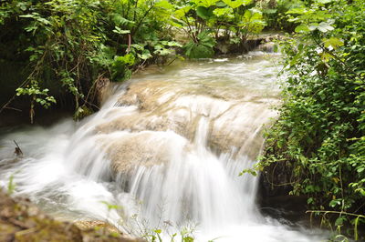 Scenic view of waterfall in forest