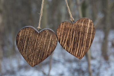 Close-up of heart shape hanging on tree