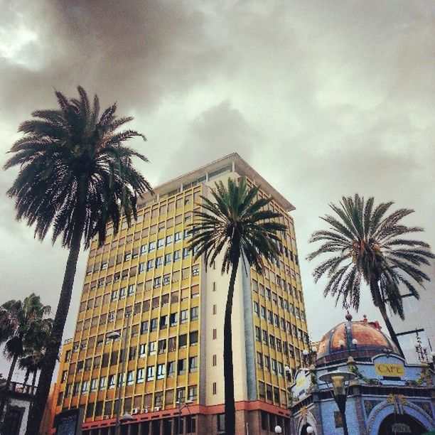 palm tree, architecture, building exterior, built structure, low angle view, tree, sky, tall - high, cloud - sky, city, growth, cloudy, coconut palm tree, building, cloud, outdoors, day, no people, residential building, modern