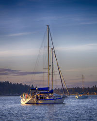 Sailboat sailing in sea