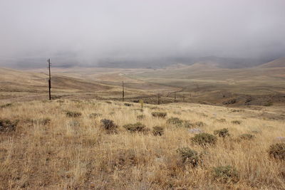 Scenic view of landscape against sky