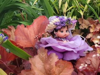 Close-up of doll in plants