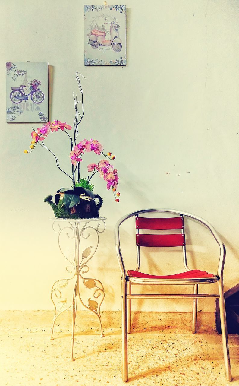 POTTED PLANT ON TABLE AGAINST WALL