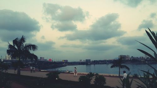 Palm trees against cloudy sky