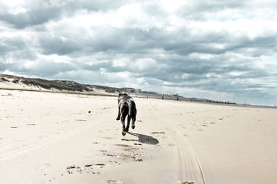 Scenic view of beach against cloudy sky