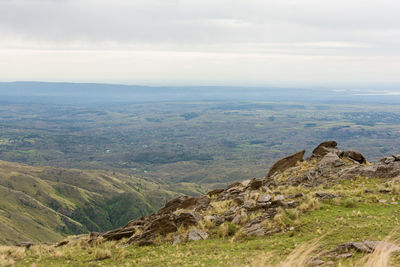 Scenic view of landscape against sky