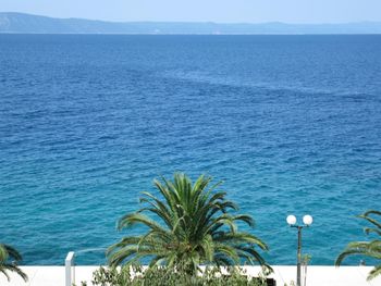 Scenic view of sea and papm against blue sky