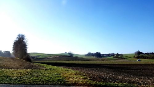 Agricultural field against clear sky