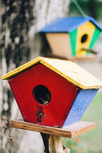 Close-up of girl on wood
