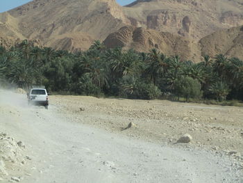 Car on dirt road against trees