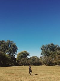 Full length of woman standing on grassy field against clear blue sky