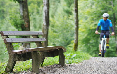 Bench in forest