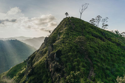 Low angle view of mountain against sky