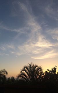 Silhouette trees against sky during sunset
