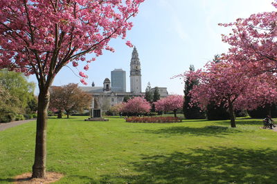 Trees in park with city in background