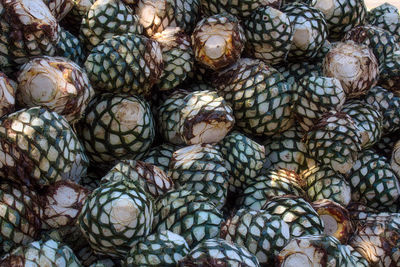 Full frame shot of pine cones