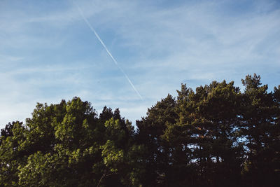 Low angle view of vapor trail against sky