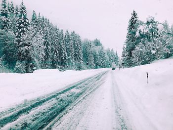 Snow covered road amidst trees against sky