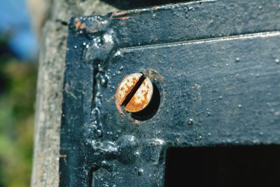 Close-up of rusty object