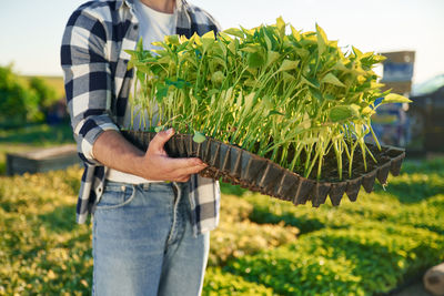 Midsection of woman holding plant