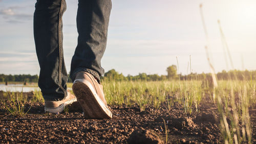 Low section of man standing on field