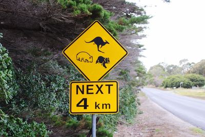 Close-up of road sign against trees