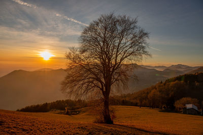 Scenic view of landscape against sky during sunset