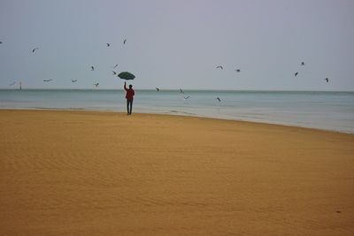 Full length of man flying over beach against sky