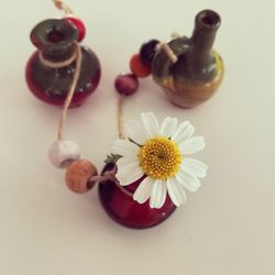 High angle view of flower on table