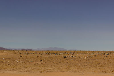 Scenic view of desert against clear sky